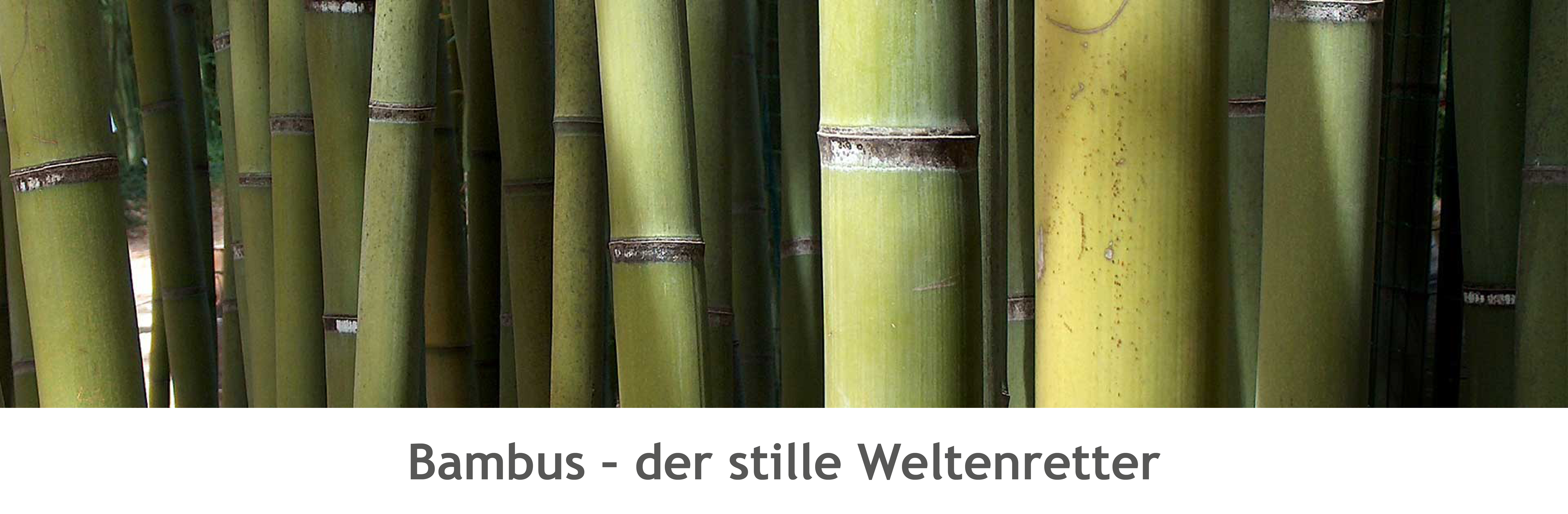 der stille Weltenretter