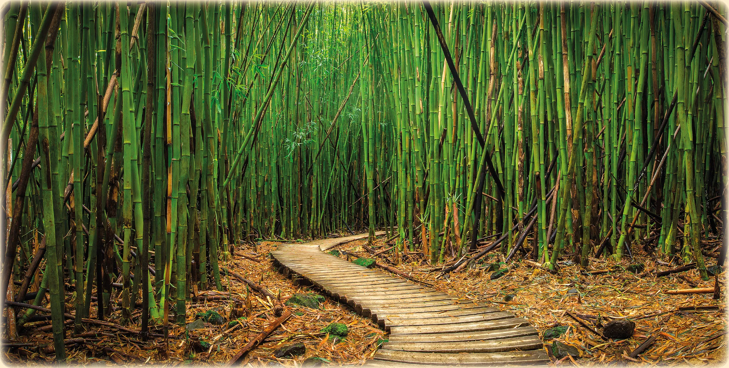 Entschlackung als bewusste 30-Tage-Routine