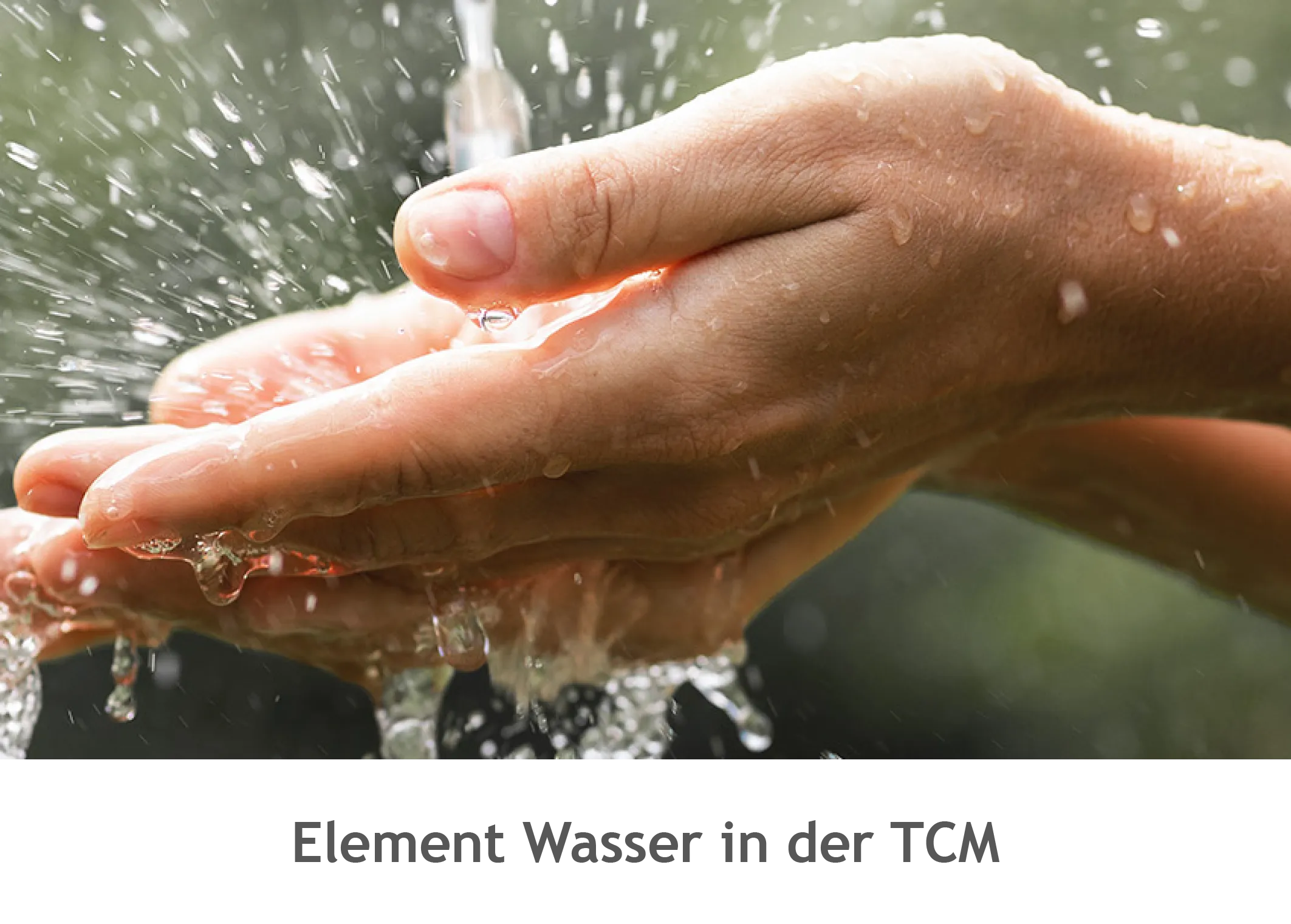 Wasser in der TCM