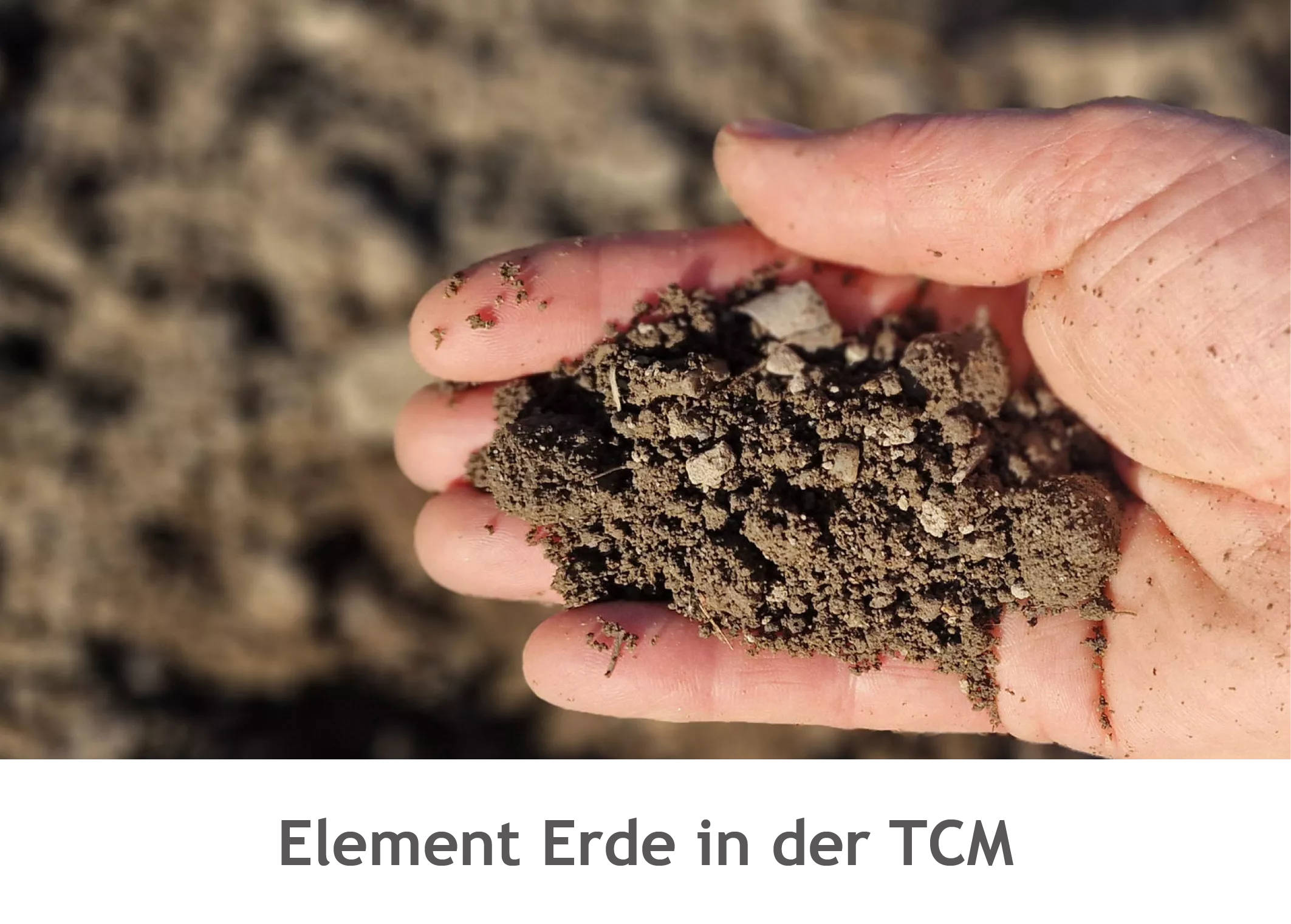 Erde in der TCM