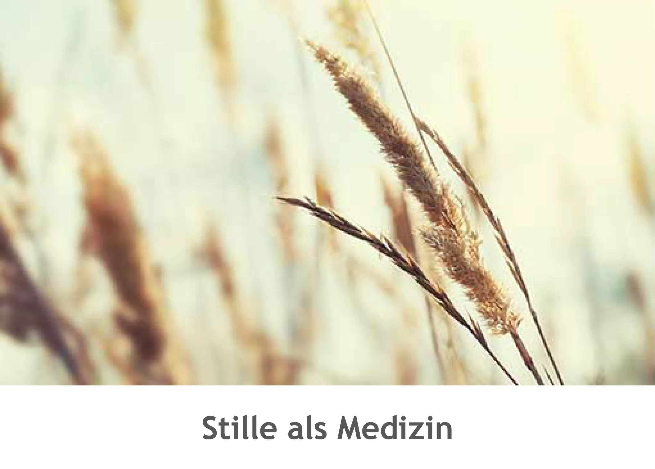 Warum wir mehr Pausen brauchen